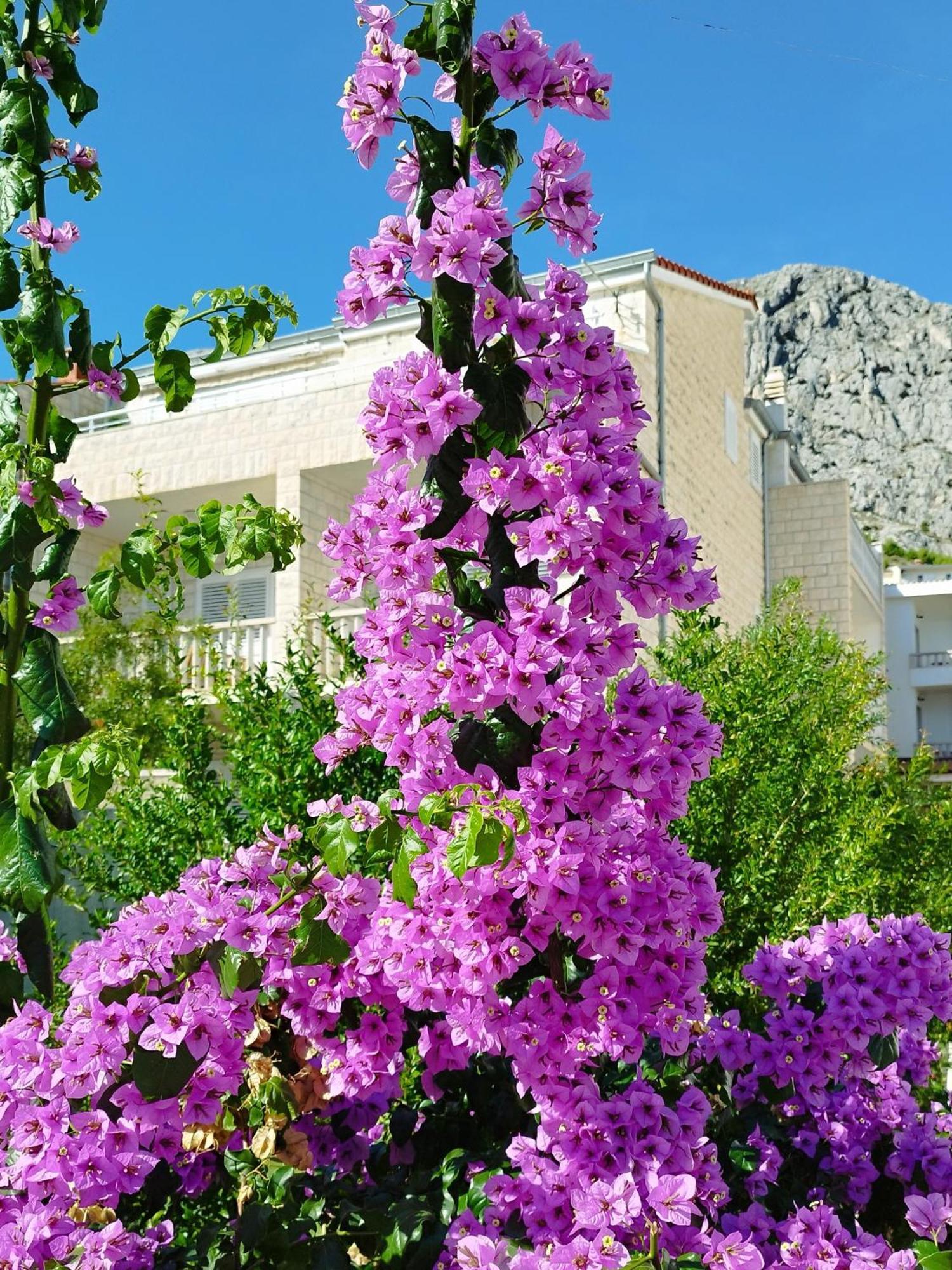 Ferienwohnung Am Sandstrand Omis Exterior photo